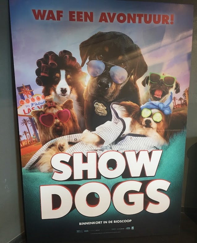 Show dogs review